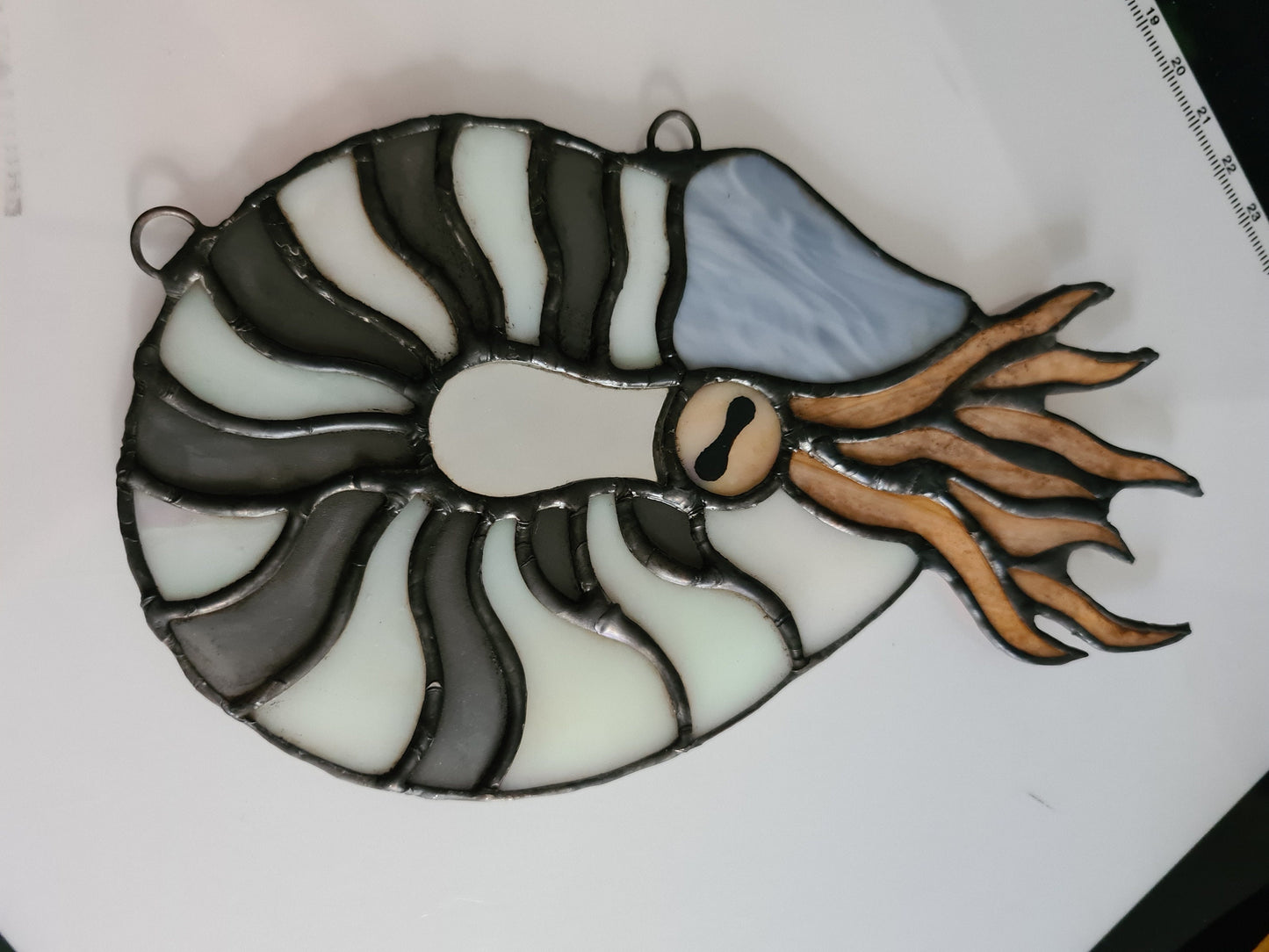 Stained glass Nautilus hanging suncatcher,